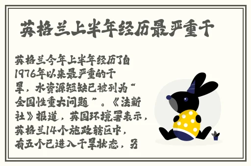 丰满的寡妇